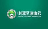 博主：足协选择今天公布处罚不专业，直接影响商业利益