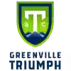格林维勒FC